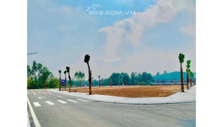 Việt Trì Spring City - dự án đất nền liền kề có sổ đỏ. Giá từ 1.4 tỷ/lô